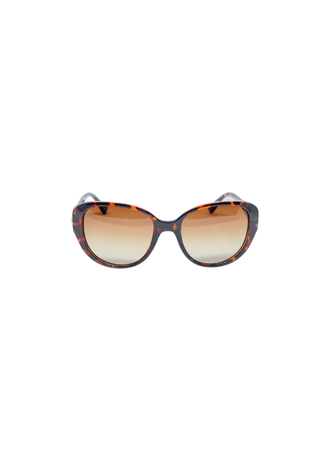 Farenheit Brown Full Rim Acetate Butterfly Sun Glasses